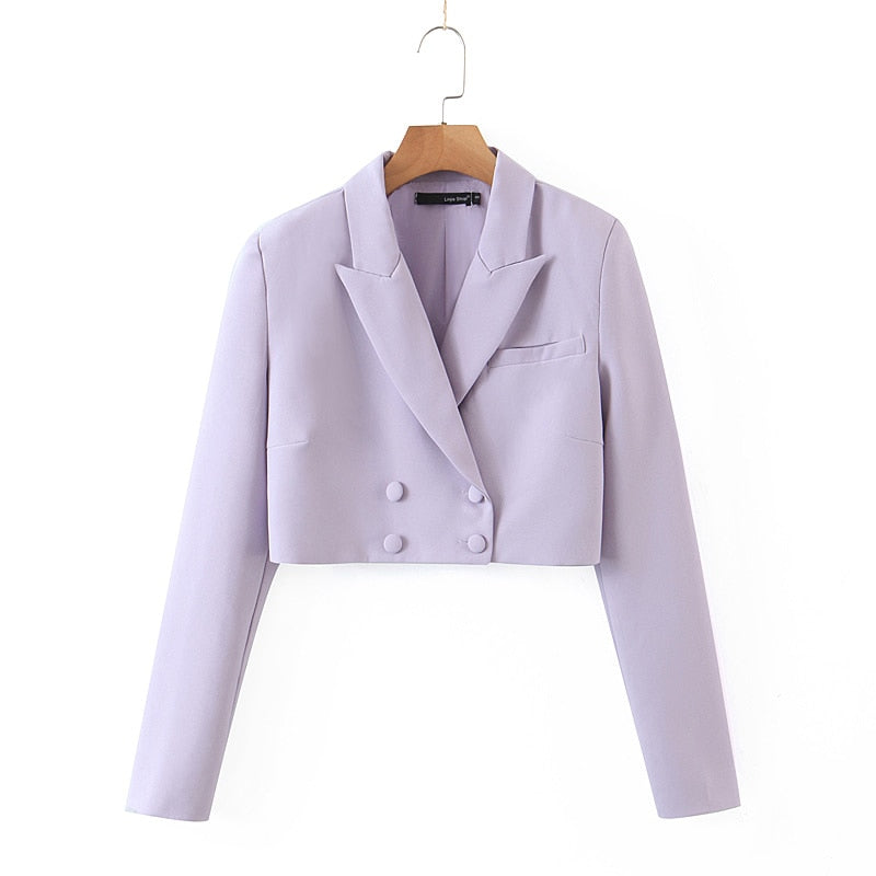 Vintage 2 Pieces Set, Matching Crop Blazer and Mini Skirt Pant, Colette Purple Lavender - Wild Rose Boho